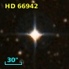 HD  66942
