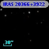 IRAS 20366+3922