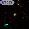 WT  223
