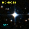 HD  60288