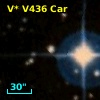 V* V436 Car
