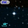 TYC 8131-339-1