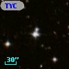 TYC 8131-683-1