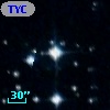 TYC 8541-1302-1