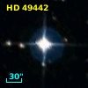 HD  49442