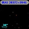 IRAS 20372+3841