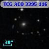 TCG ACO  3395 116