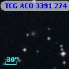 TCG ACO  3391 274