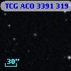 TCG ACO  3391 319
