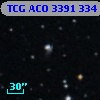 TCG ACO  3391 334
