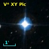 V* XY Pic