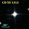 CD-55  1313