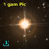 * gam Pic