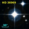 HD  36969