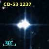 CD-53  1237
