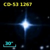 CD-53  1267