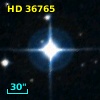 HD  36765