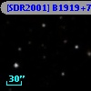 [SDR2001] B1919+741