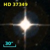 HD  37349