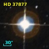 HD  37877