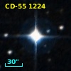 CD-55  1224