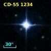 CD-55  1234