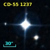 CD-55  1237