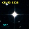 CD-53  1228
