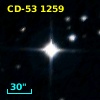 CD-53  1259