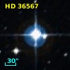 HD  36567