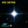 HD  36704