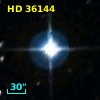 HD  36144