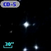 CD-53  1131