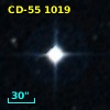 CD-55  1019