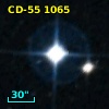 CD-55  1065
