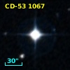 CD-53  1067