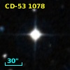 CD-53  1078