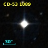 CD-53  1089