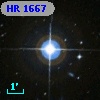 HR  1667