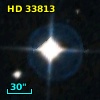 HD  33813