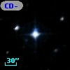 CD-55   982