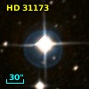 HD  31173