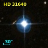 HD  31640