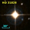 HD  31828