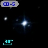 CD-53  1005