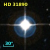 HD  31890