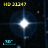 HD  31247
