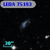 LEDA   75183