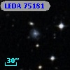 LEDA   75181