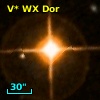 V* WX Dor